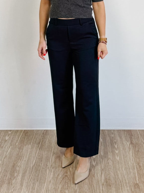 Maya Straight Solid Pant